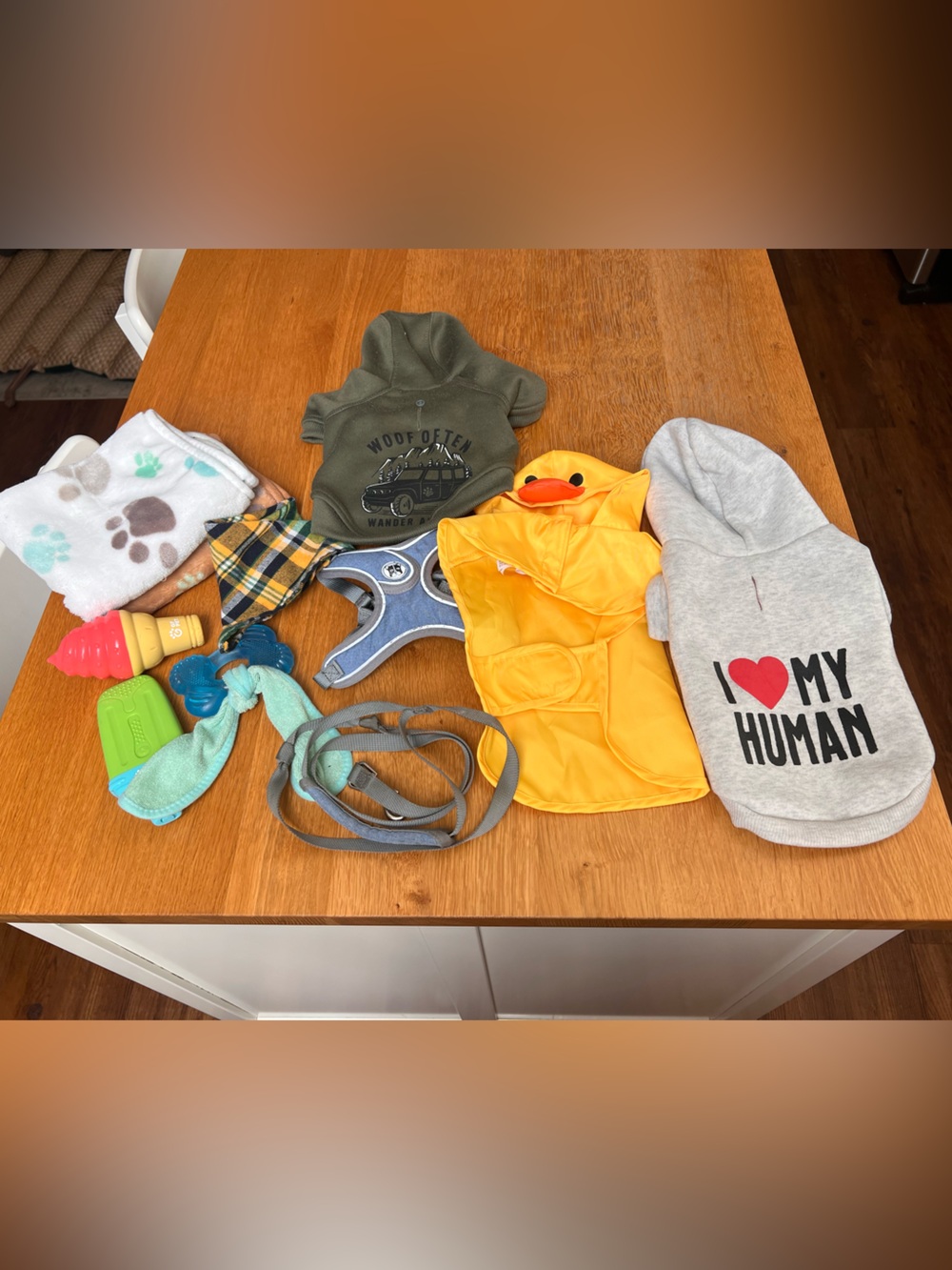 Puppy clothing & accessories
